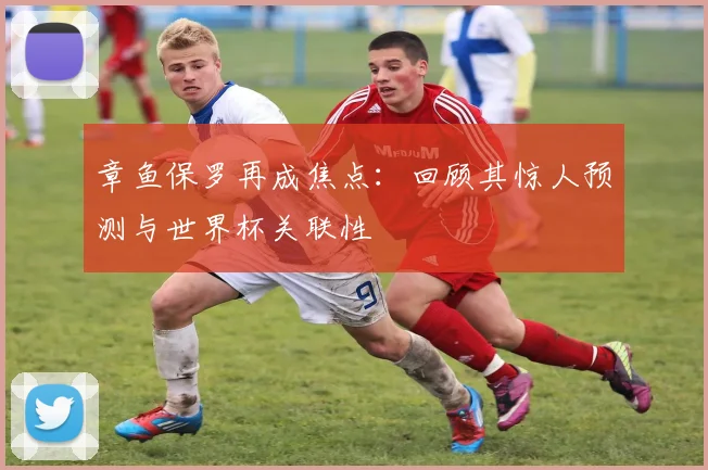 章鱼保罗再成焦点：回顾其惊人预测与世界杯关联性