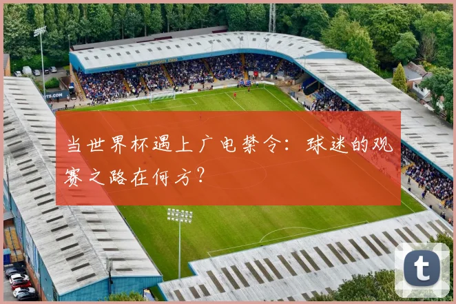 当世界杯遇上广电禁令：球迷的观赛之路在何方？