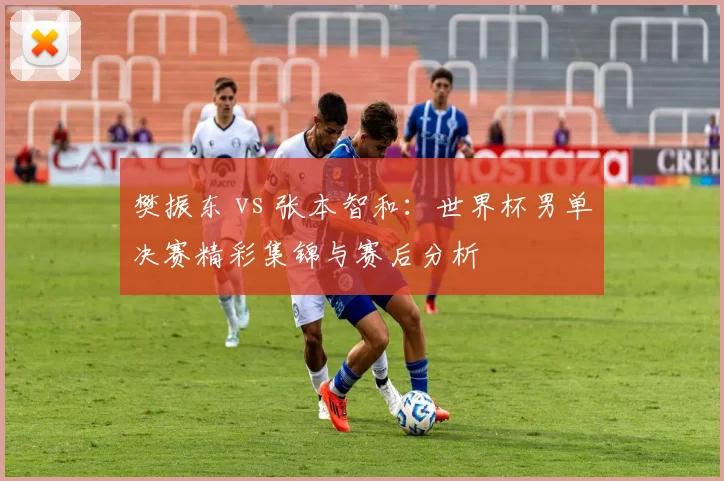樊振东 vs 张本智和：世界杯男单决赛精彩集锦与赛后分析