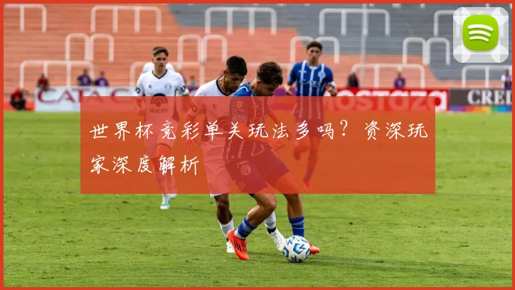 世界杯竞彩单关玩法多吗？资深玩家深度解析
