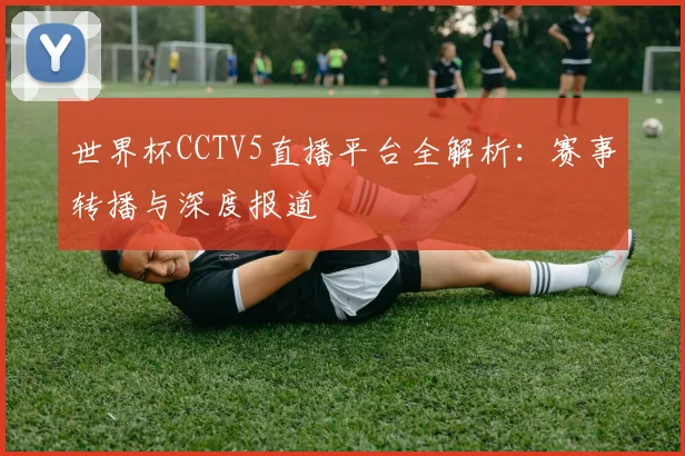 世界杯CCTV5直播平台全解析：赛事转播与深度报道